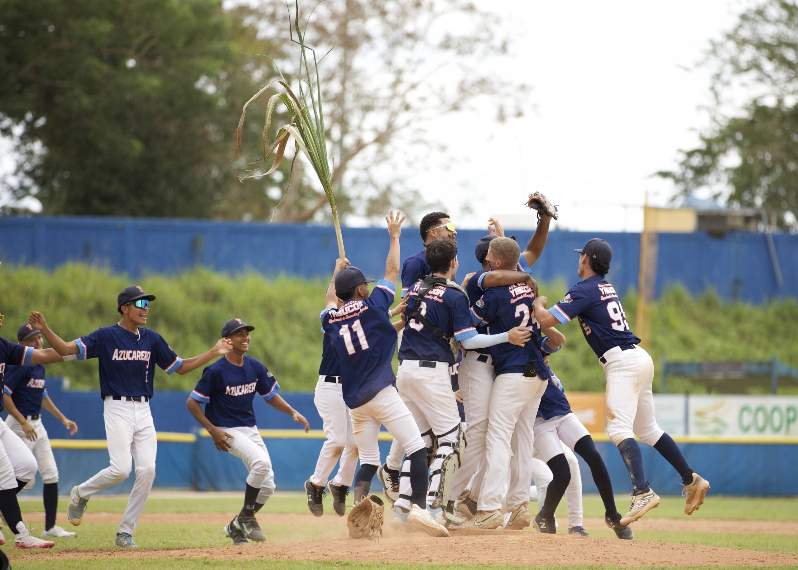 ¡Yabucoa es el campeón! Los Azucareros Jr. regresan al trono de la ...